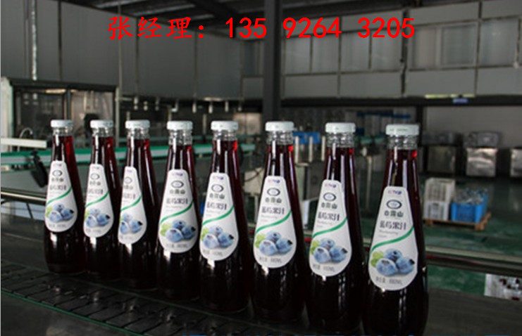 釀造果酒設備多少錢|水果深加工果酒飲料設備生產線
