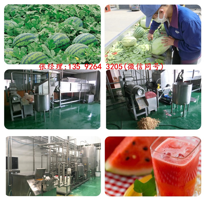 2020西瓜果汁飲料生產(chǎn)線設(shè)備果汁滅菌過(guò)濾灌裝設(shè)備